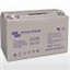 12V /110AH  AGM Deep cycle Batt (M8)