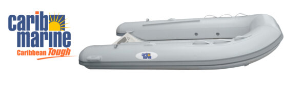 Dinghy, 3.1m 10′ Fiberglass Single Floor Gray