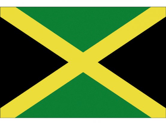Drapeau de la Jamaïque 20 x 30 cm